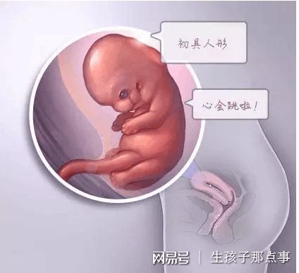 承济医学中心